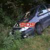 Nehoda Renault Scénic - zrážka so zverou